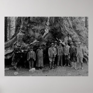 Poster President Roosevelt and John Muir California 1903