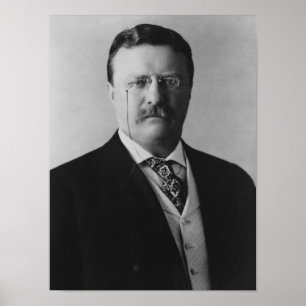 Poster Président Theodore Roosevelt - 1904