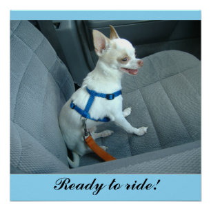 Poster prêt à rouler