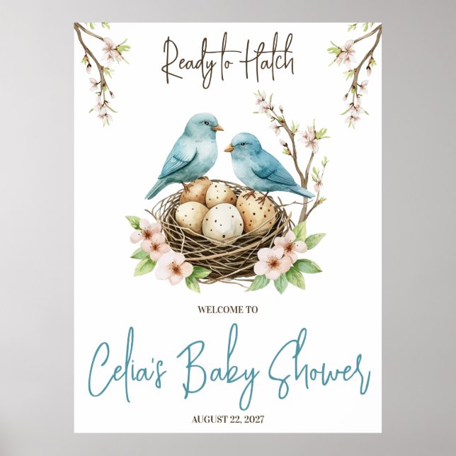 Poster Prêt pour Hatch ! Baby shower aux oiseaux mignons  (Devant)