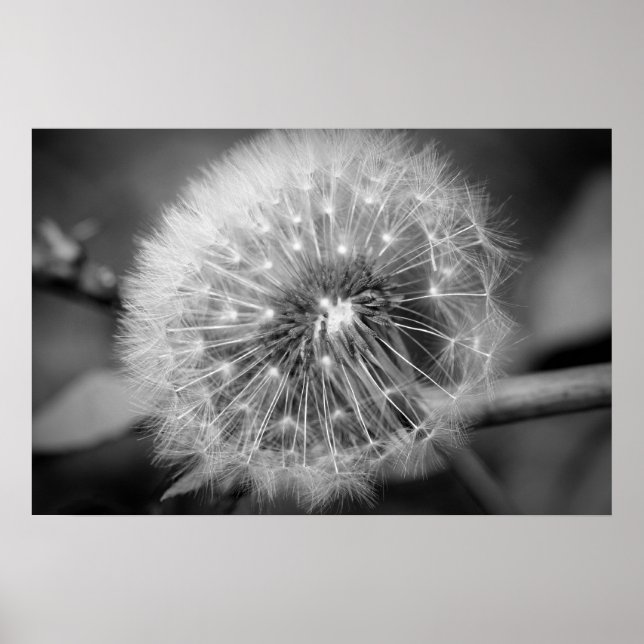 Poster Prêt pour le décollage ! ! ! (Devant)