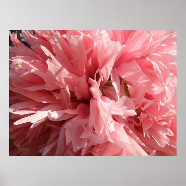 Poster Pretty Pink Pop Print (Devant)