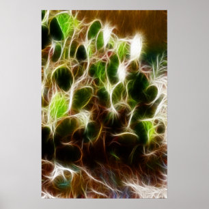 Poster- Prickly Pear Cactus Poster