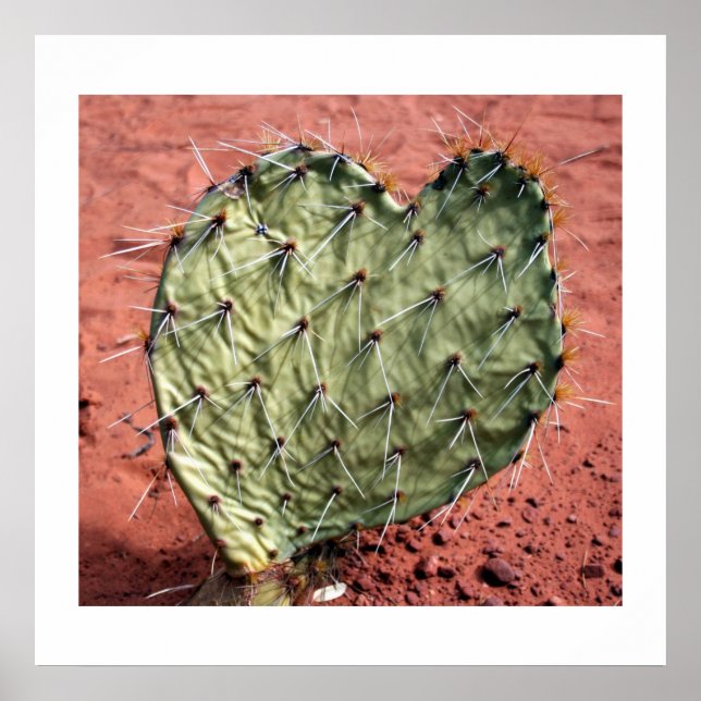 Poster Prickly Pear Heart (Devant)