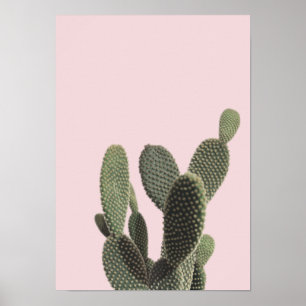 Poster Pricky Pear Cactus and Pink
