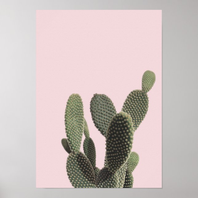 Poster Pricky Pear Cactus and Pink (Devant)