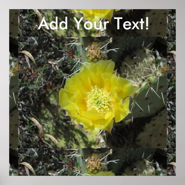 Poster Pricky Pear Yellow Bloom Fermer (Devant)