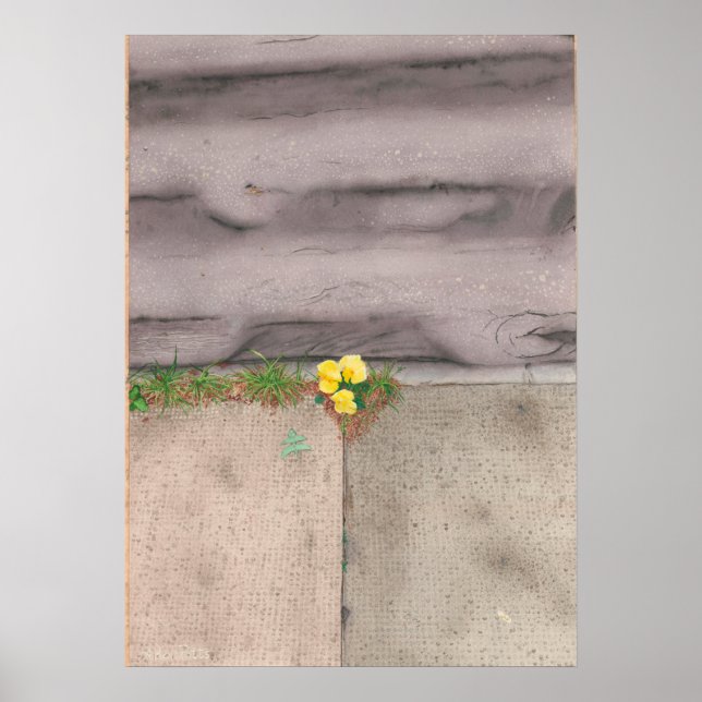 Poster Primrose du trottoir (Devant)