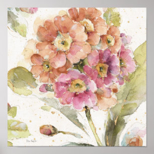 Poster Primrose et orange
