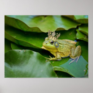 Poster Prince de grenouille couronné sur Lily Pad