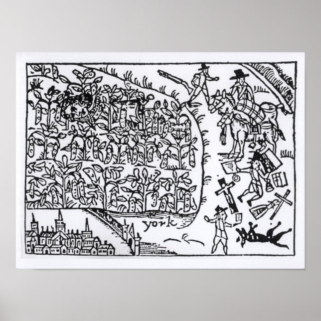 Poster Prince Rupert se cachant dans un haricot (Devant)