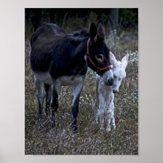 POSTER PRINTEMPS (Devant)