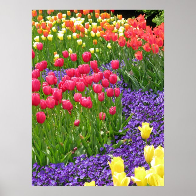 Poster printemps (Devant)