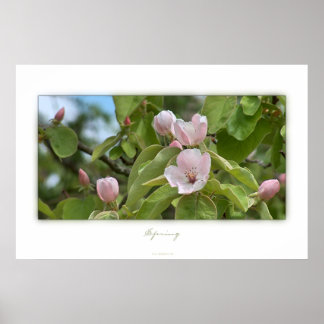 Poster Printemps