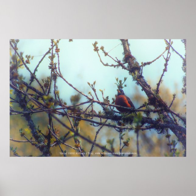 Poster Printemps (Devant)