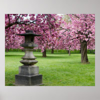 Printemps à Paris