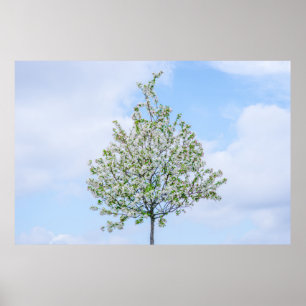 Poster Printemps - Bonne Pâques