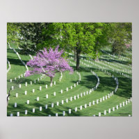 Printemps dans le cimetière national d'Arlington
