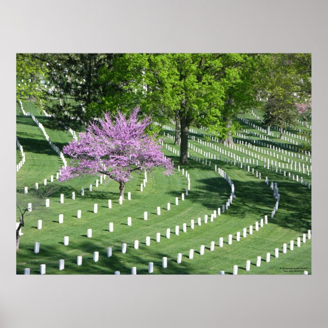 Poster Printemps dans le cimetière national d'Arlington (Devant)