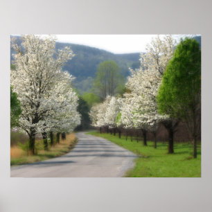 Poster Printemps dans le pays