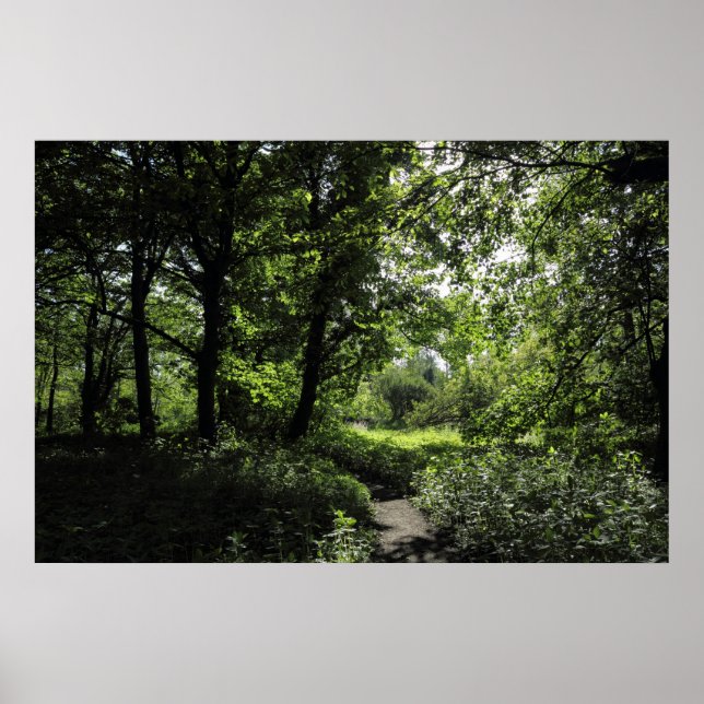 Poster Printemps dans les bois 03 (Devant)