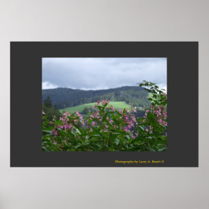 Poster Printemps dans Triberg