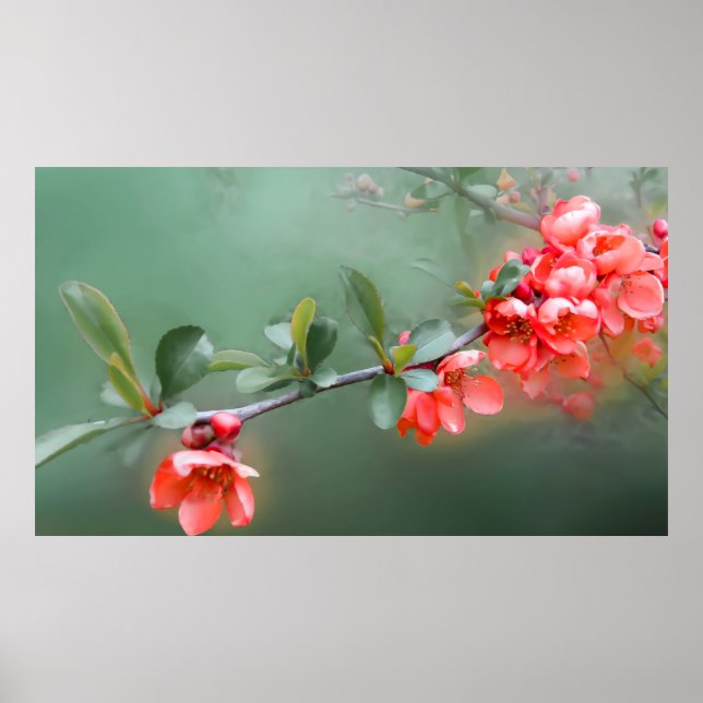 Poster Printemps des fleurs de fleurs de cocotte (Devant)