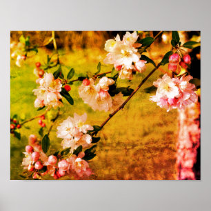 Poster Printemps Rose Et Blancs Grondent Abstrait