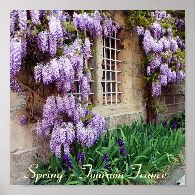 POSTER - Printemps - Tournon France (Devant)