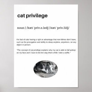 Poster Privilège de chat citation drôle blanc