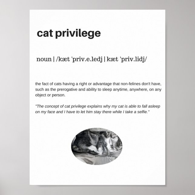 Poster Privilège de chat citation drôle blanc (Devant)
