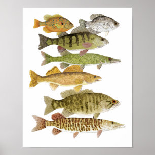 Poster Prix de l'eau douce