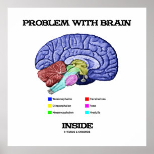 Poster Problème avec le cerveau intérieur (Anatomie du ce