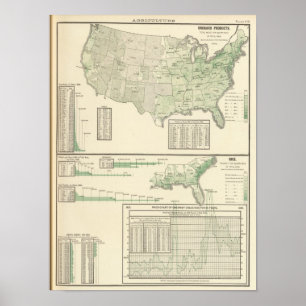 Poster Produits et riz de verger