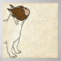 Profil de French Bulldog En tête