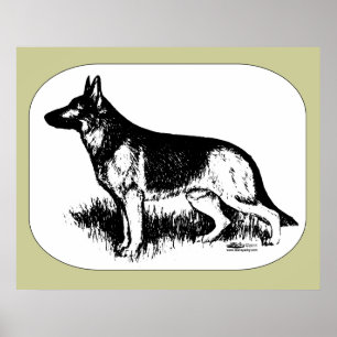 Poster Profil du berger