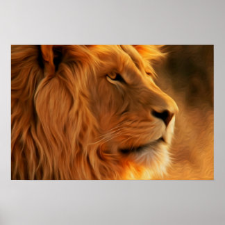 Poster Profil Lion
