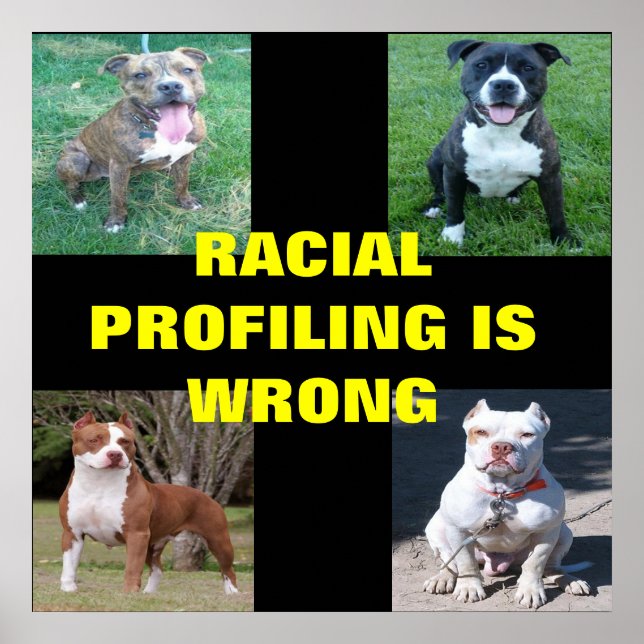 Poster Profilage racial (Devant)