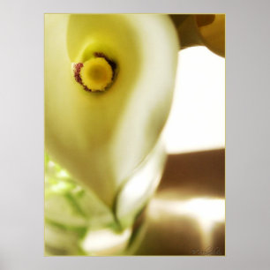 Poster profond dans l'intérieur