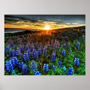 Poster Profondeur 58