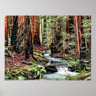 Poster Profondeur 92 Bristle Lum Focus