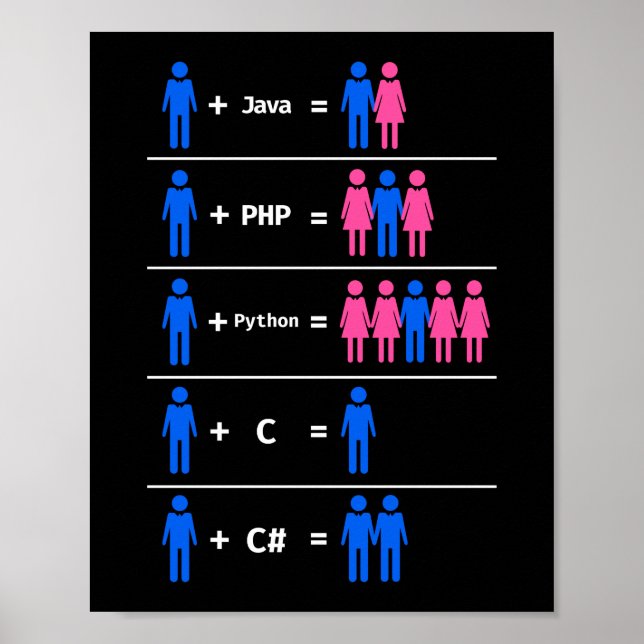 Poster Programmer Coding C Python PHP Java Attractions Ho (Devant)