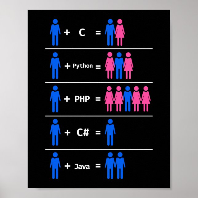 Poster Programmer Coding C Python PHP Java Attractions Ho (Devant)