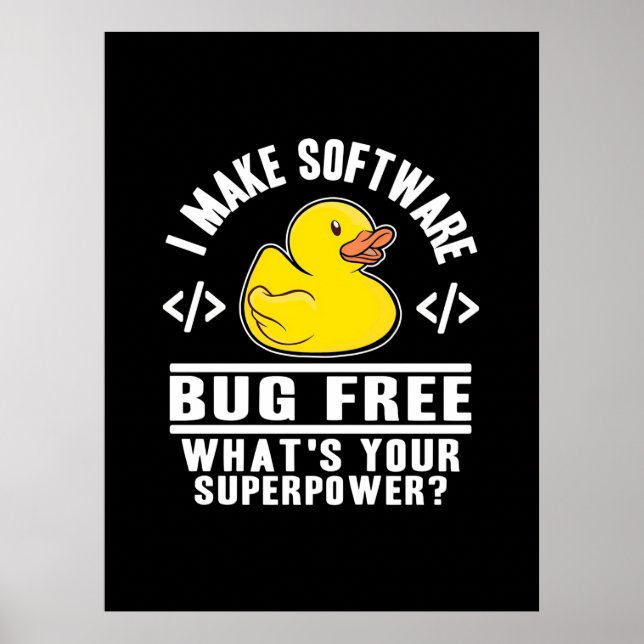 Poster Programmer rendre le logiciel sans bogue (Devant)