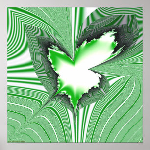 Poster Projection fractale 1,4g2