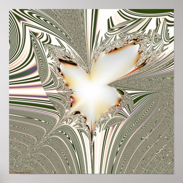 Poster Projection fractale 1.5.1 (Devant)