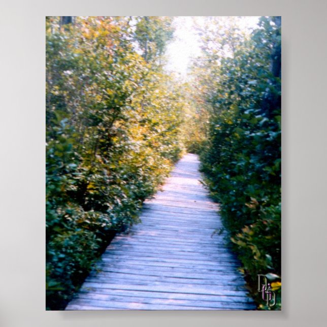 Poster Promenade (Devant)