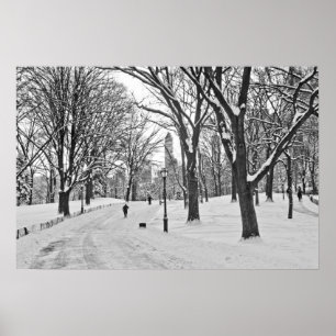 Poster Promenade à la neige à Central Park