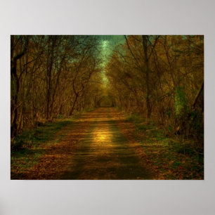 Poster promenade au clair de lune