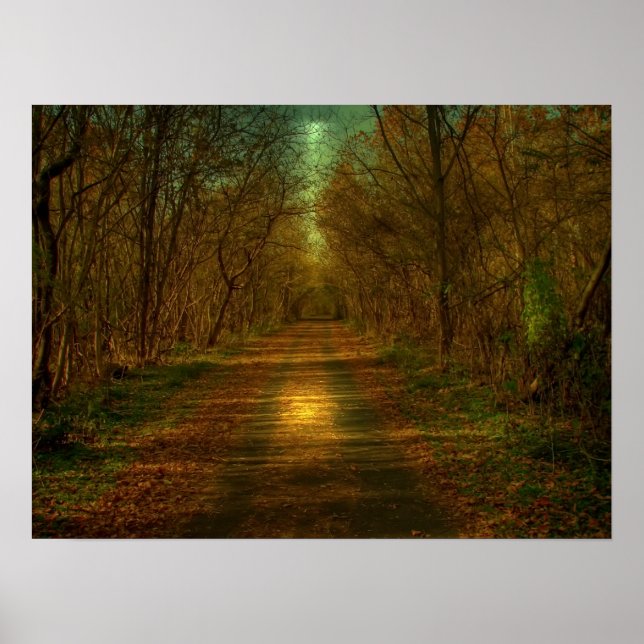 Poster promenade au clair de lune (Devant)